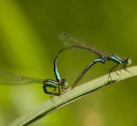 Amore in equilibrio | Simone Migliaccio