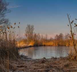 L'ingresso allo stagno | Augusta Sartori