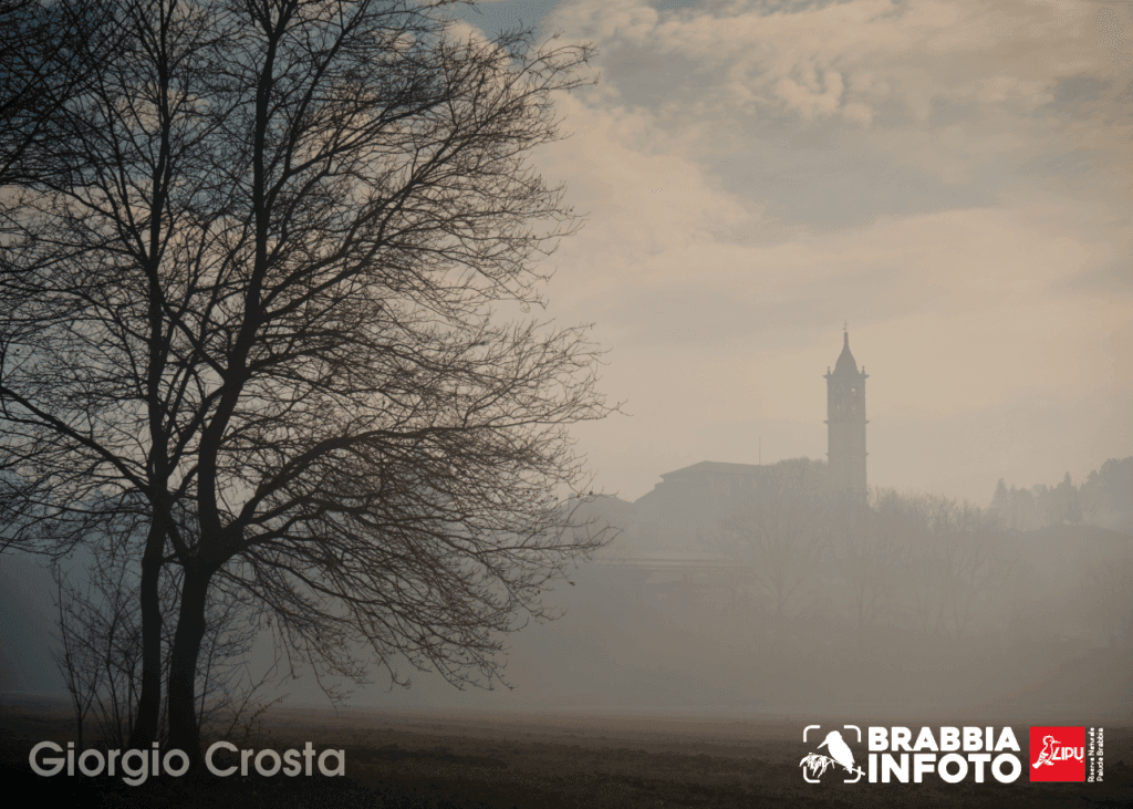 Nebbia in palude - Giorgio Crosta 1 Nebbia in palude - Giorgio Crosta