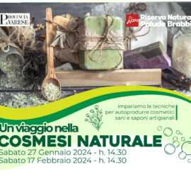 locandine cosmesi