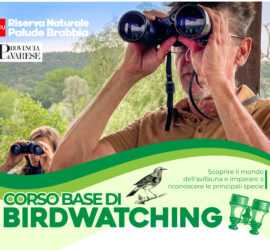 banner Birdwatching 2024