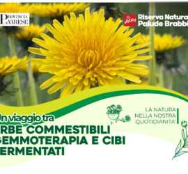 Evento percorso piante 2024 02