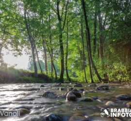 Le luci dell’alba in palude – Eros Vanoli - Brabbia inFoto 2024