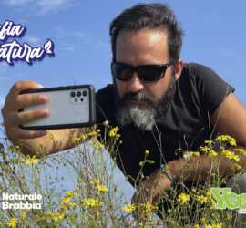 Fotografia in Natura nella Riserva Naturale Palude Brabbia con Yeehgo