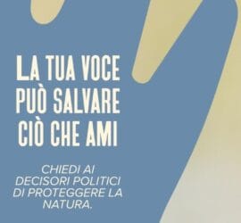 HandsOffNature banner v02